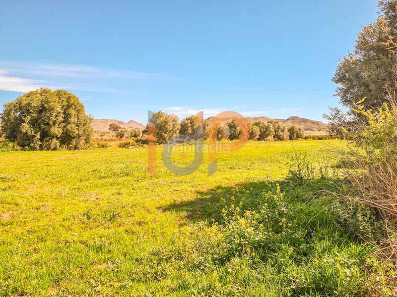 Foto c1cd6586-d5d5-4f01-baf0-c3ee7a643536. Wohngrundstück in Pulpí