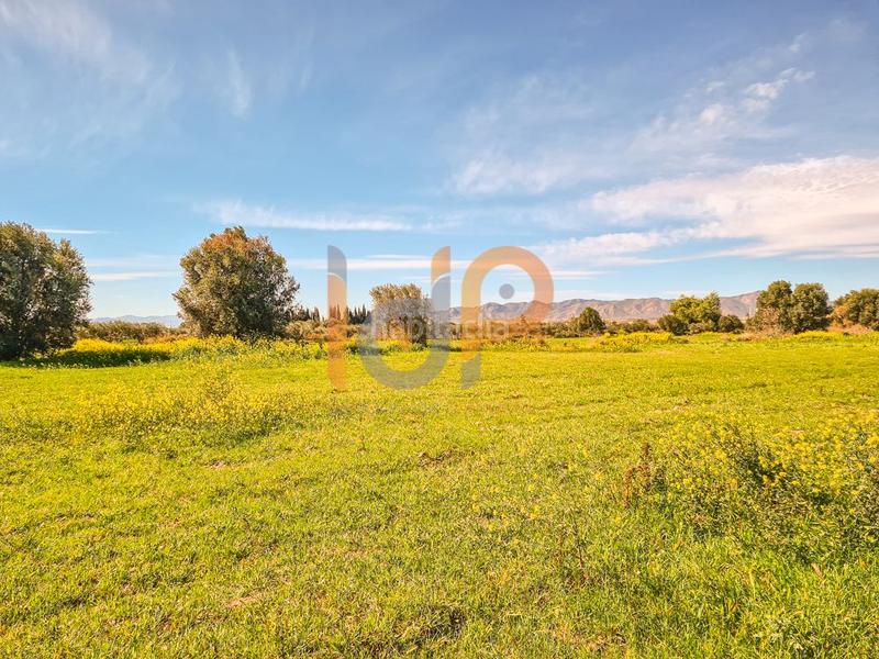 Foto c1fb47f3-288d-46e7-9873-51d52027b862. Wohngrundstück in Pulpí