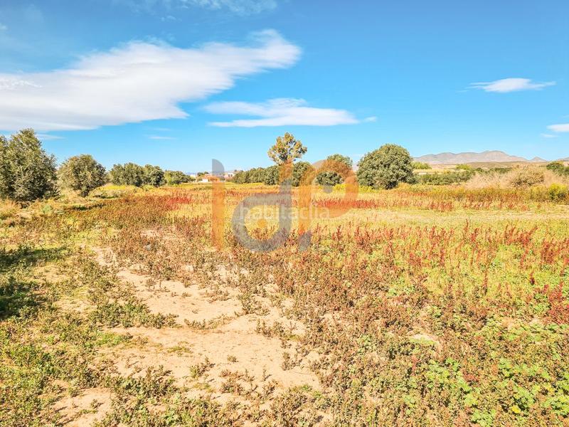 Foto d1d56ff8-bb88-42fb-bd61-08416890ada1. Wohngrundstück in Pulpí