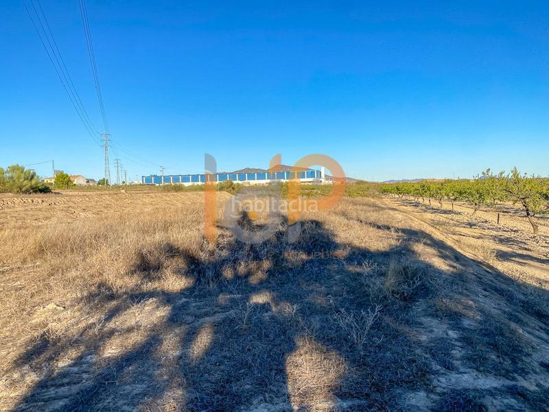 Foto 8a626582-35f0-4f4e-824a-fae8caaaf203. Terreny residencial a Huércal - Overa
