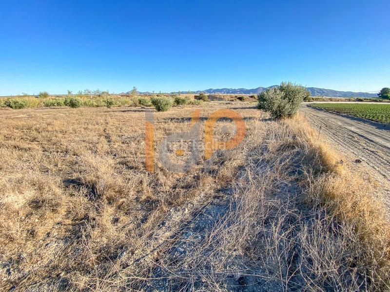 Foto bd4c9caa-4869-4d33-b9b1-5c6e3dd1306d. Wohngrundstück in Huércal - Overa