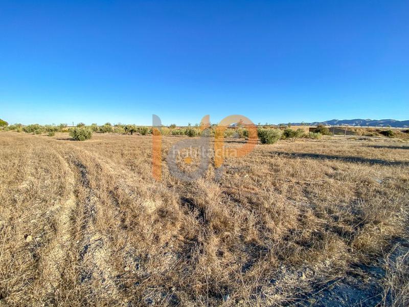 Foto be013aa2-59ab-46f0-9372-0abed6b82767. Wohngrundstück in Huércal - Overa