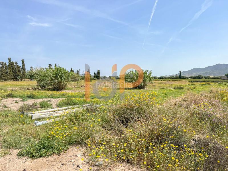Foto 16476d4d-5b05-45cf-9d42-2945b5fd709d. Wohngrundstück in Huércal - Overa