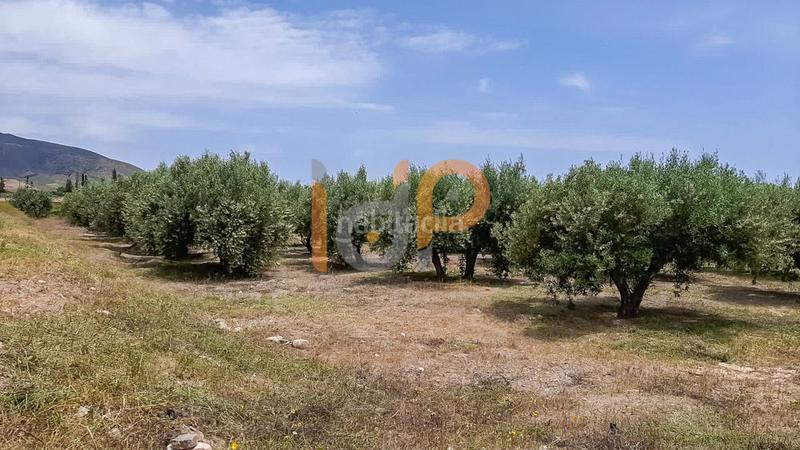 Foto 30f5b943-555a-426c-a6cb-64f03ec665bf. Wohngrundstück in Huércal - Overa