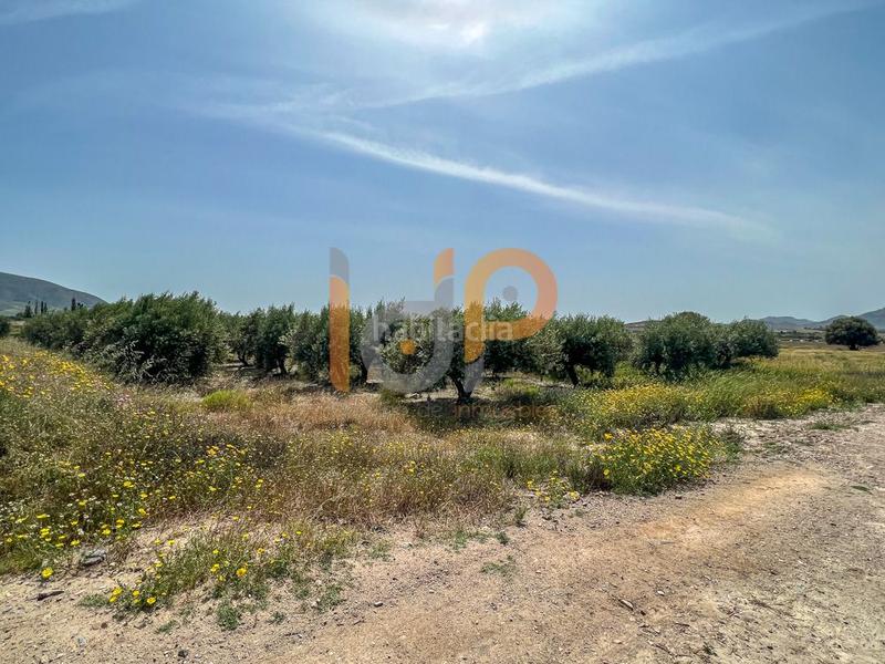 Foto a2ff2894-d494-4af9-a0f9-142727be152d. Wohngrundstück in Huércal - Overa