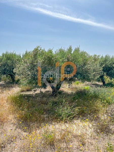 Foto c8ba209d-7cec-4983-84f8-a80ea7c77288. Wohngrundstück in Huércal - Overa