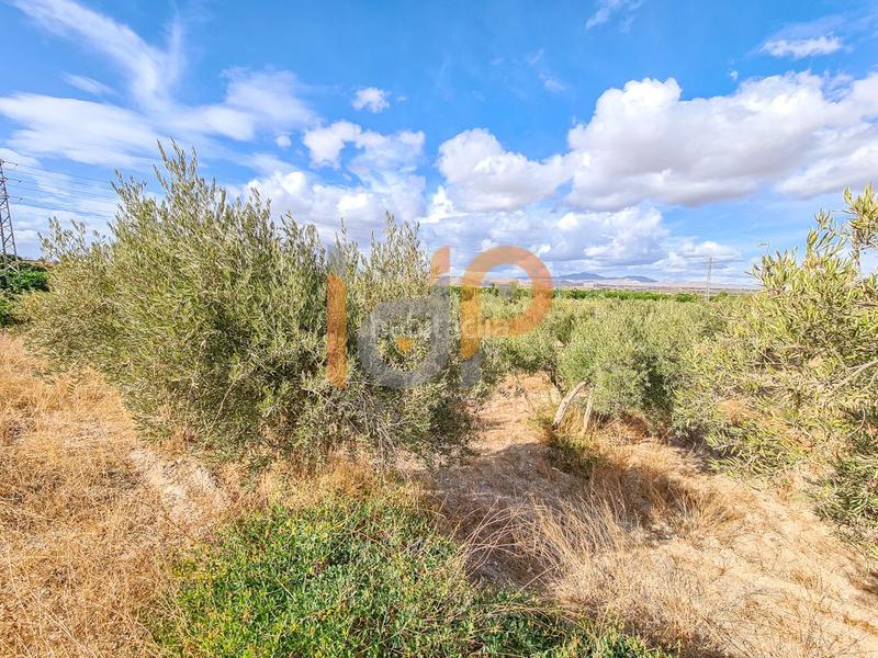 Foto 63da3a2a-f939-4882-a38c-57a996f6df24. Wohngrundstück in Huércal - Overa