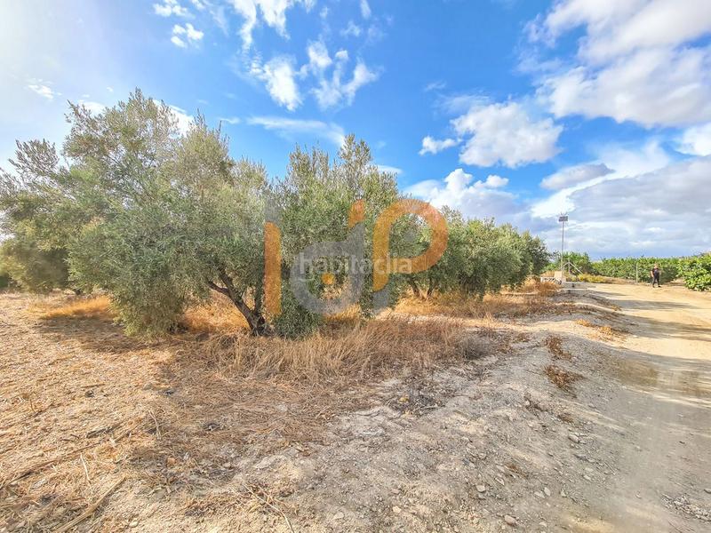 Foto 662be110-c79e-426c-838c-80aa8d2fa5e2. Wohngrundstück in Huércal - Overa