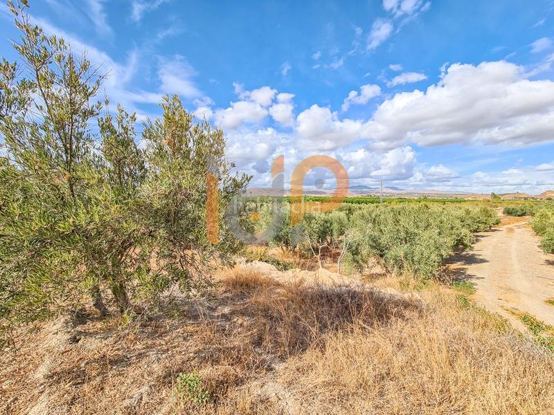 Foto 86ed9117-c480-41ff-85ee-e50c2c9fcb0d. Wohngrundstück in Huércal - Overa
