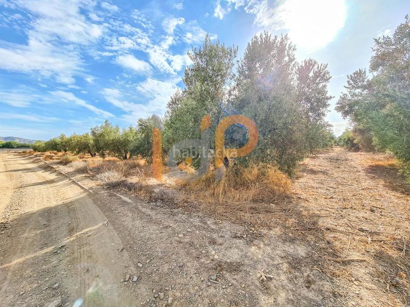 Foto e38a87e6-eed6-46e2-a4c9-f4ecea4fa789. Wohngrundstück in Huércal - Overa