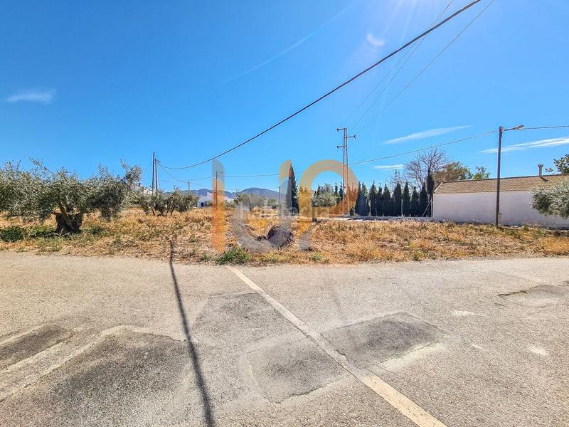 Foto 4dd1b290-7029-431c-bb21-0efc88caf17c. Terreno residenziale in Huércal - Overa