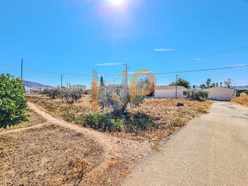 Foto f8e54c2a-0f23-46f8-ab3f-700e6c027115. Terreno residenziale in Huércal - Overa