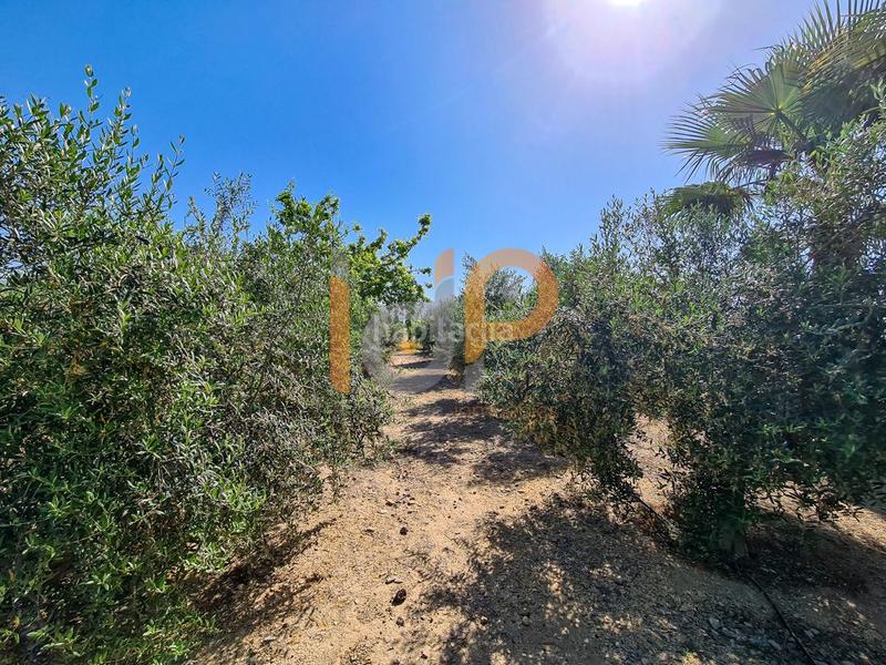 Foto 7ff5cf7a-6887-495c-bb45-4060d30a7813. Casa  en venta en urcal, 3 dormitorios. en Huércal - Overa