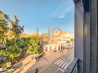 Pis  Calle avenida guillermo reyna. Piso en venta en centro, 3 dormitorios.