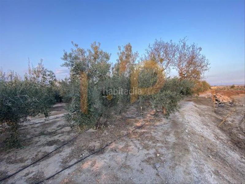 Foto 9e1f717f-8d15-43a2-86a8-88daee4cf4d0. Wohngrundstück in Huércal - Overa