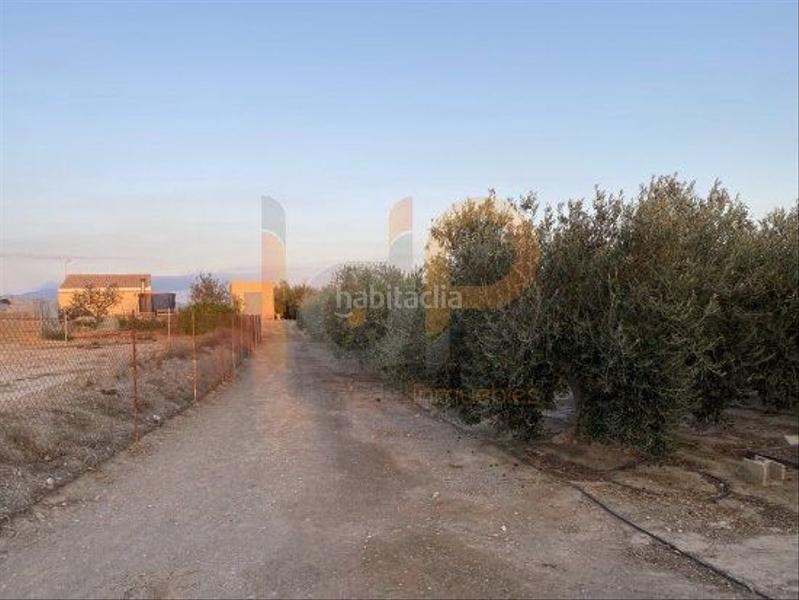 Foto a01fb694-bd45-4e88-8279-6f41e2c912e8. Wohngrundstück in Huércal - Overa