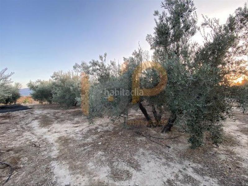 Foto f325bdb6-286c-4f72-9d22-acba7fbf4011. Wohngrundstück in Huércal - Overa