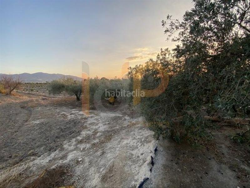 Foto fec63690-63b6-40f6-8718-ae7bab8d98f9. Wohngrundstück in Huércal - Overa