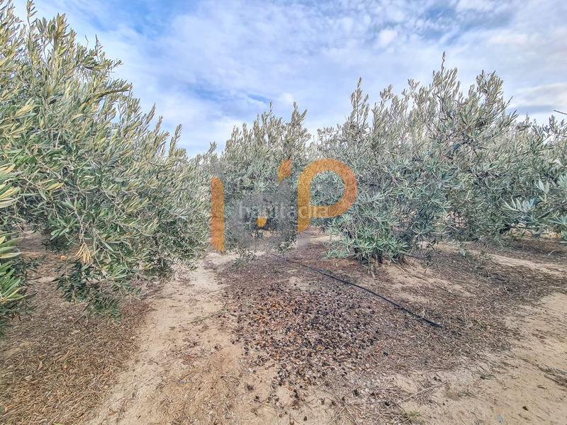 Foto 1661cad9-22ad-4eb1-86f9-9024c2a2ebdb. Wohngrundstück in Huércal - Overa