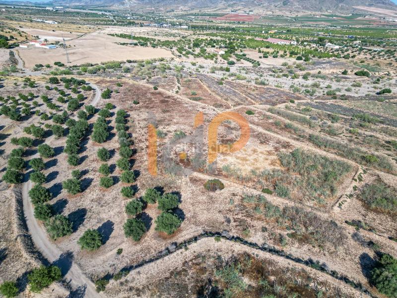 Foto 1b307d54-9f09-445c-b3ec-1cdd86cb28ad. Wohngrundstück in Huércal - Overa