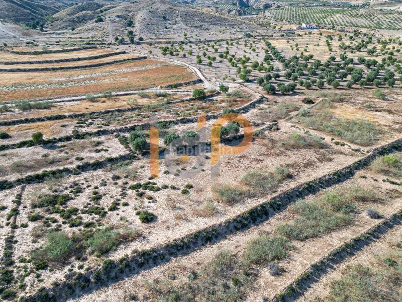 Foto 32ff4d22-2653-4fc1-aa39-c94fbd05d79f. Wohngrundstück in Huércal - Overa