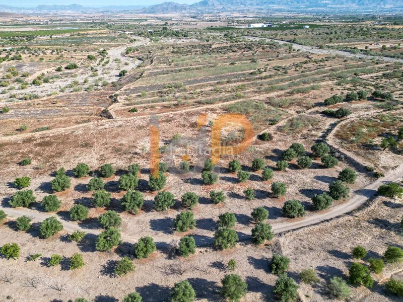 Foto d49a7232-ff15-43dd-84e0-7a04ed94027c. Wohngrundstück in Huércal - Overa