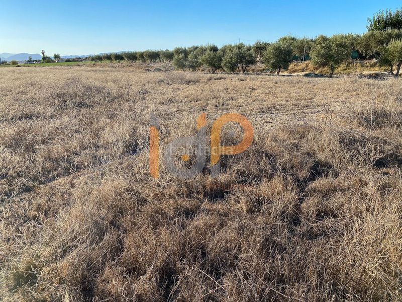 Foto 5045fd32-3059-4480-a73e-bed699096256. Finca rústica a Huércal - Overa