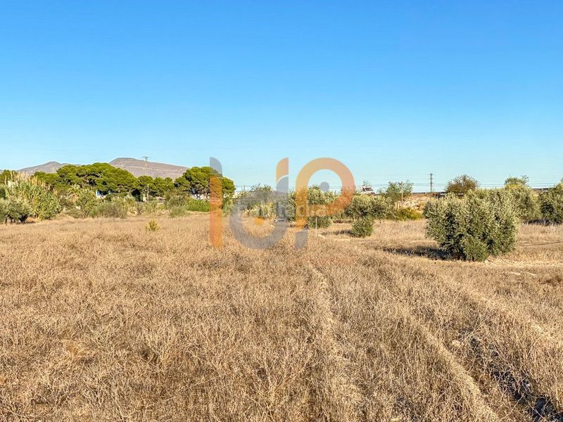 Foto 67d943a1-e720-424a-b1e2-9f9fc3b12a5c. Finca rústica a Huércal - Overa