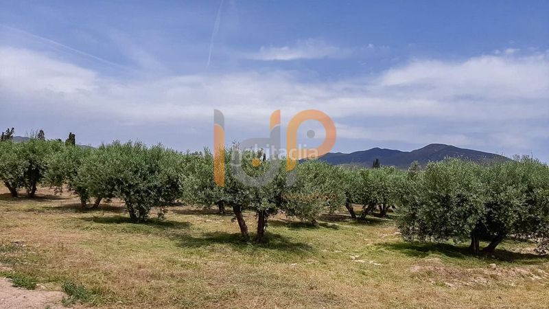 Foto 409e2106-0e2d-4a71-9afc-618b7806652b. Finca rústica en Huércal - Overa