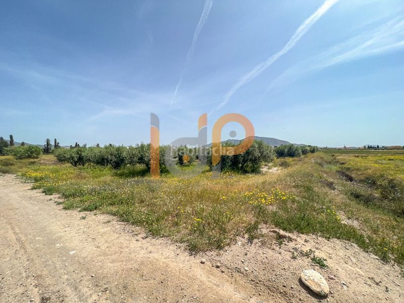 Foto 4ca0fa9d-a627-410c-8c8b-9799fe68f964. Finca rústica en Huércal - Overa