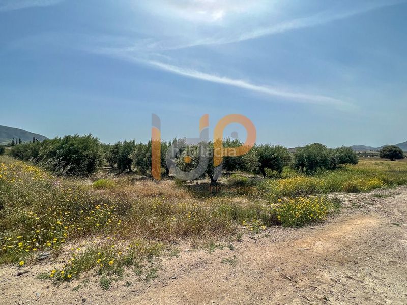 Foto ecf20f59-eef9-4eb7-9738-e26c01b8bcd3. Finca rústica en Huércal - Overa