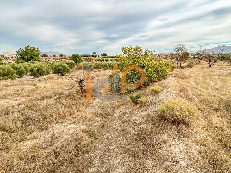 Foto 1d0aeada-ca88-4b8f-a224-ec2fa6ebd79f. Finca rústica en Huércal - Overa