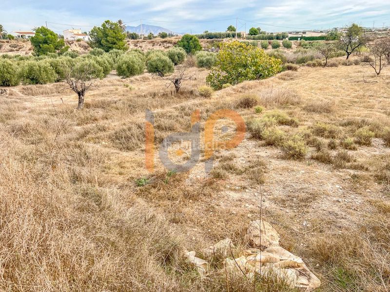Foto ea3fd60d-9560-4cd9-8cb0-da524d7256cb. Finca rústica en Huércal - Overa