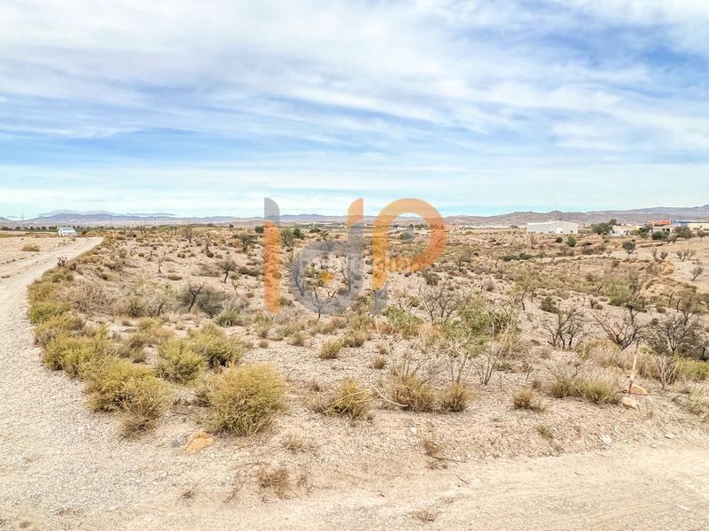 Foto c9413a7b-02e5-4ff3-b8d0-5d91ebb7e2f7. Finca rústica en Huércal - Overa