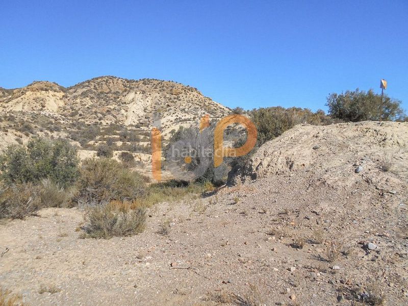 Foto 213ff3d0-6ddd-40ca-8a6d-a6910ce291e6. Finca rústica en Huércal - Overa