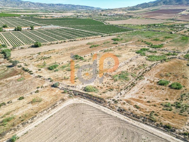Foto d74d1fa5-4cc9-4f66-8923-7bba86a3f6e7. Finca rústica a Huércal - Overa