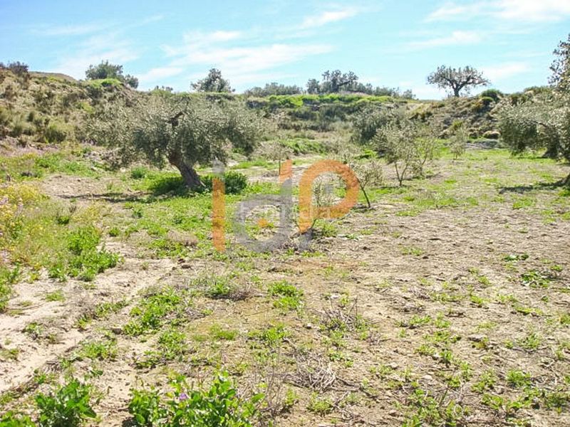Foto 0d0eceda-676b-4f48-bc65-7b521cc09cfd. Finca rústica en Huércal - Overa