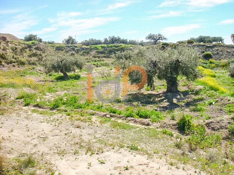 Foto 12c02ae1-6cc0-4914-ae80-cd0f1b893248. Finca rústica en Huércal - Overa