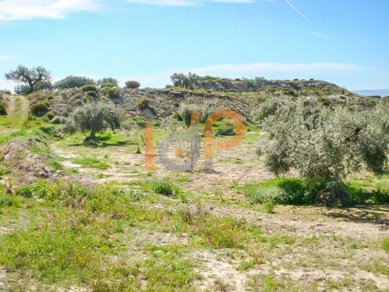 Foto 6c2a05f5-4e44-40ce-815e-2a71236e2c9a. Finca rústica en Huércal - Overa