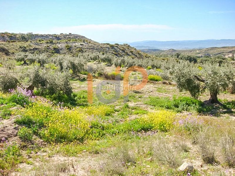 Foto 827102b5-00d0-4ec8-b251-8a133dc786c1. Finca rústica en Huércal - Overa