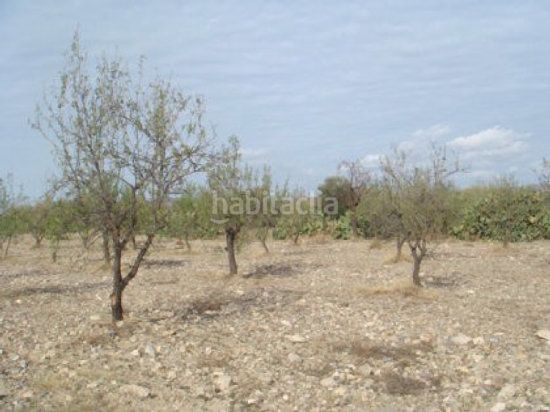 Foto 3ff7d00e-6427-4e8d-96a4-20cdd0ac1f22. Finca rústica a Huércal - Overa