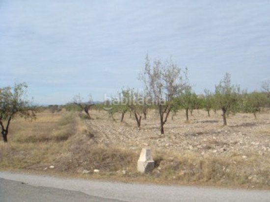 Foto 876b2a85-20ae-4935-9ac3-5af0617d013a. Finca rústica a Huércal - Overa