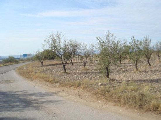 Foto 92b1d975-a0a6-4a1f-96fe-e0e32db9051f. Finca rústica a Huércal - Overa
