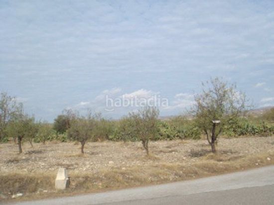 Foto bec71b75-74fb-4f88-a026-9e4a41685de9. Finca rústica a Huércal - Overa