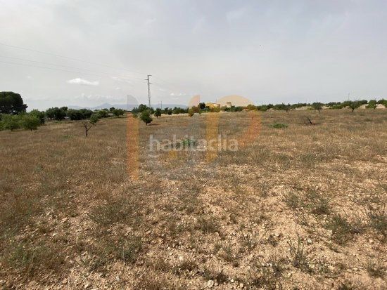 Foto 302b8b92-2e89-494e-9142-be5dd85c38b9. Finca rústica en Huércal - Overa