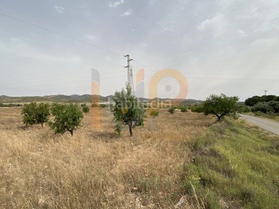 Foto 687746cd-2667-411d-927f-7c017cf8c751. Finca rústica en Huércal - Overa