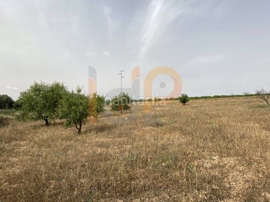 Foto b16638f9-799c-4507-905c-0b8b599b6c7e. Finca rústica en Huércal - Overa