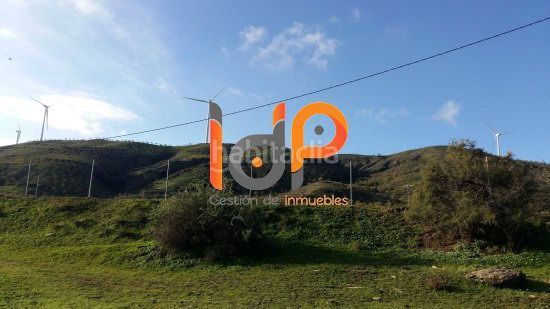 Foto 347c1c6e-7602-49ec-b196-c107e3382d6c. Finca rústica a Vélez - Rubio