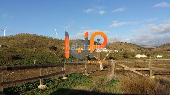 Foto 45aaa78e-4ef2-4ef5-9eb5-92bc51b4dfb9. Finca rústica a Vélez - Rubio