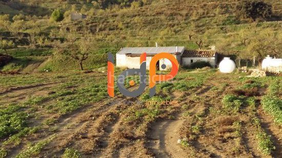 Foto 566c8a73-386e-4781-bef6-26bd5ae9ea8c. Finca rústica a Vélez - Rubio